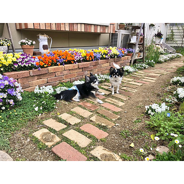 vol.2878写真