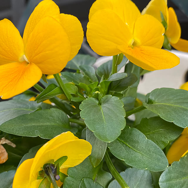 YuuKoさんの部屋