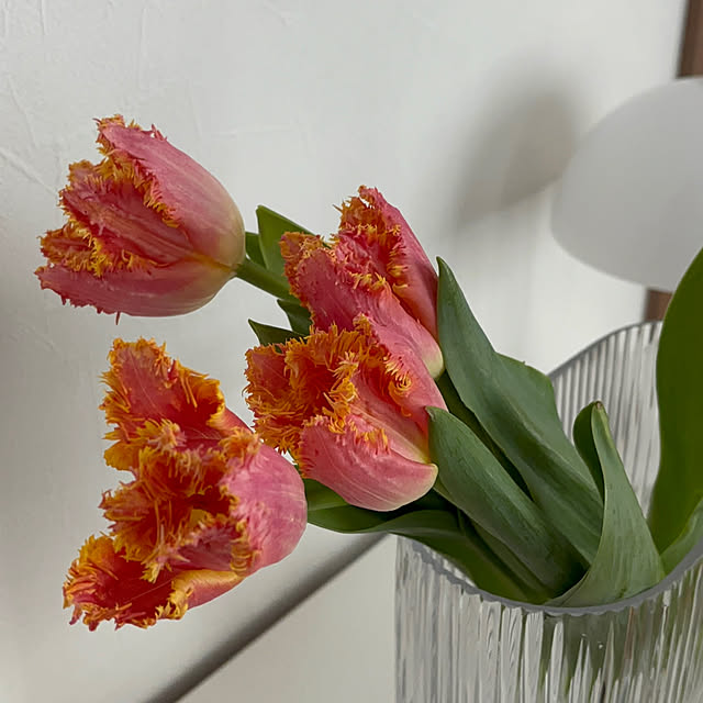 kozueさんの部屋