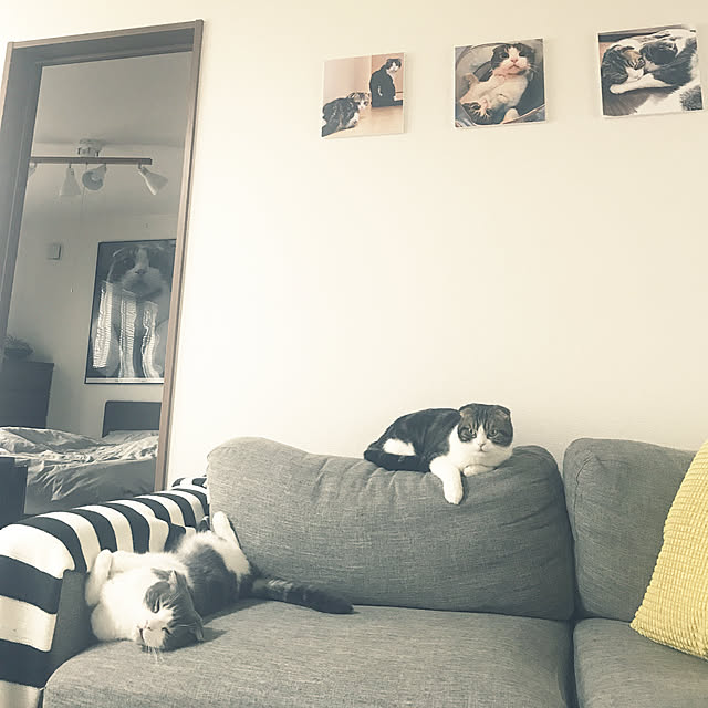 tansukeさんの実例写真