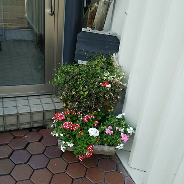 rinさんの実例写真