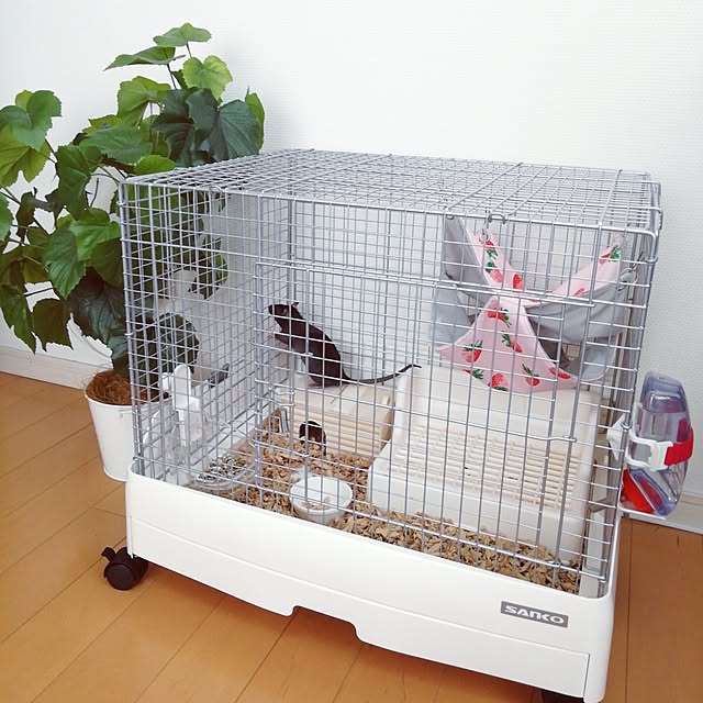 G.Mさんの実例写真