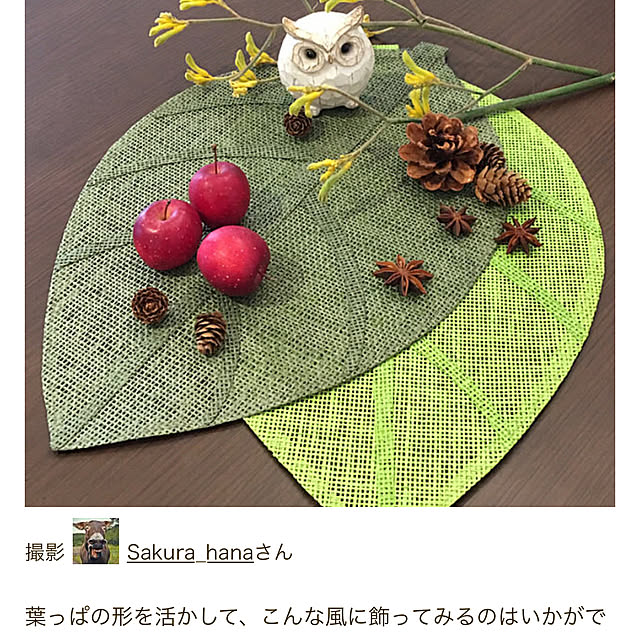Sakura_hanaさんの実例写真