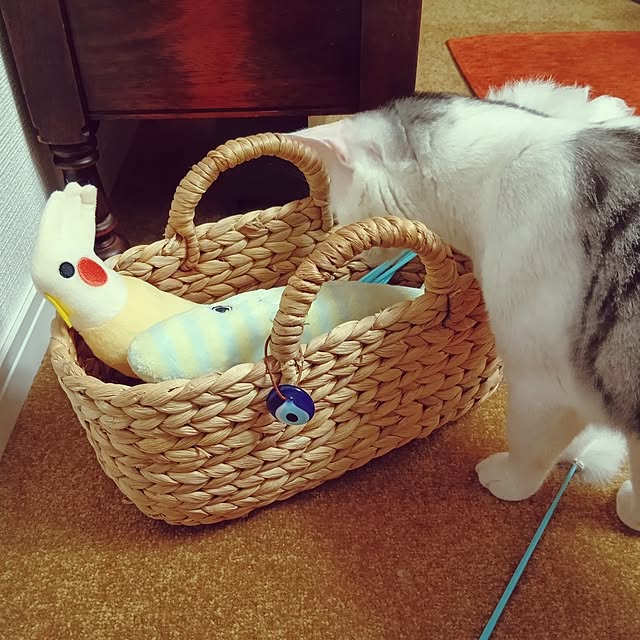 hirukumaさんの実例写真