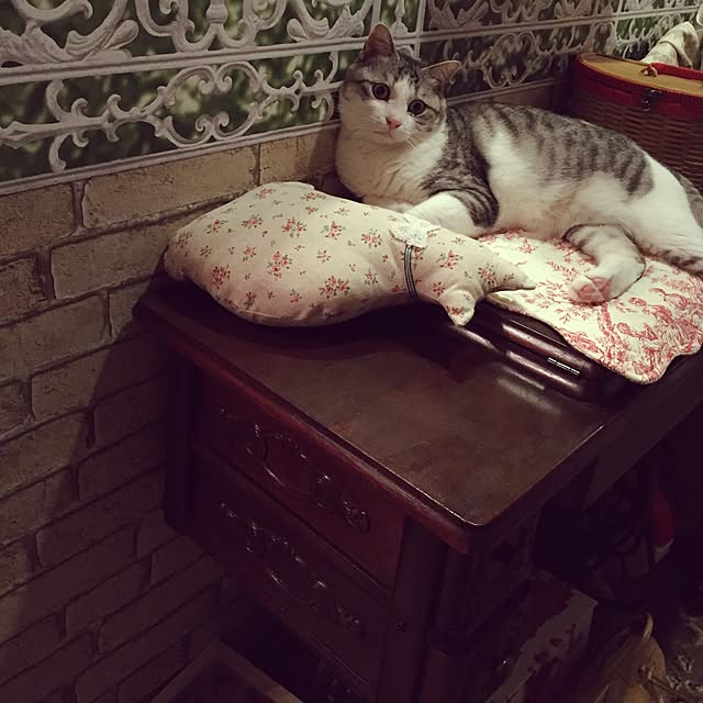 emmyyさんの実例写真