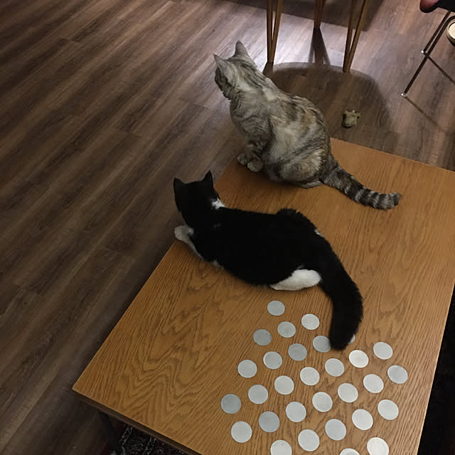 ptyyさんの実例写真