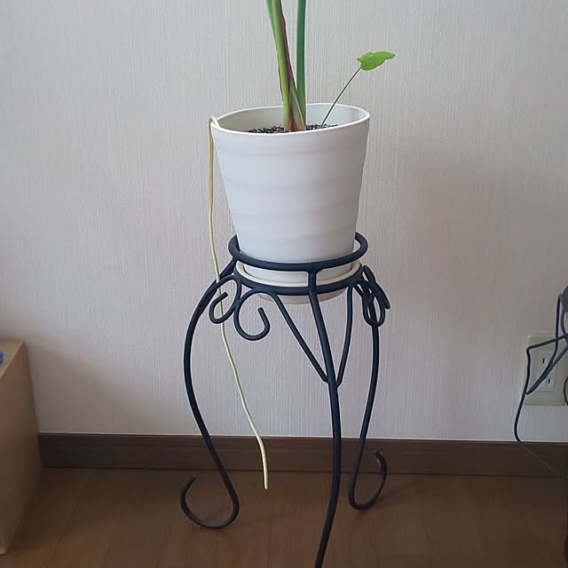 yumiyumiさんの部屋