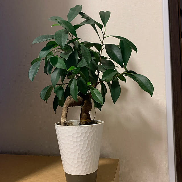 Momooさんの実例写真