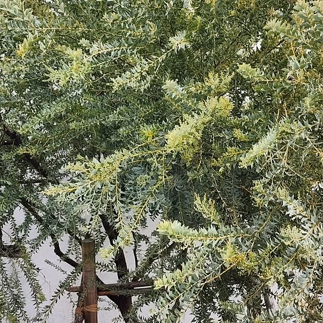 chiii13さんの部屋