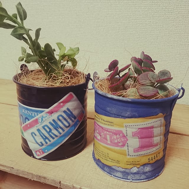 yuccaさんの実例写真