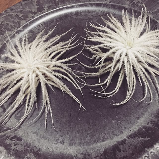 Hikariさんの実例写真