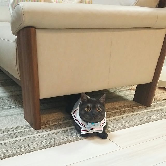 tomatoさんの実例写真