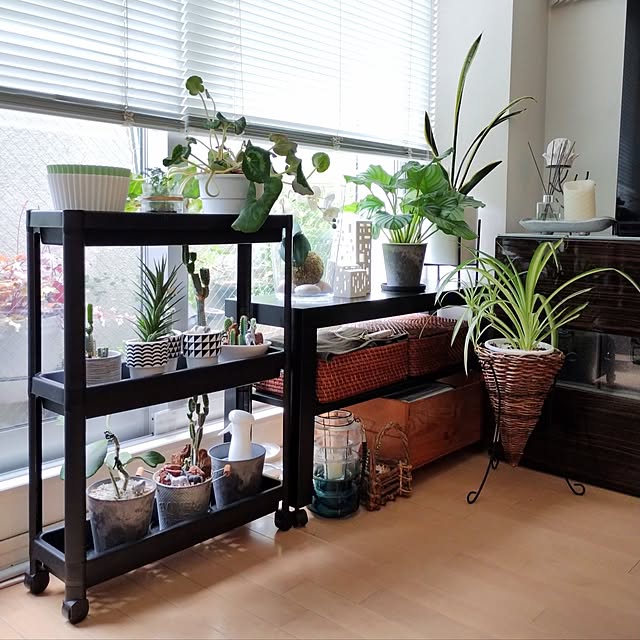 jinさんの部屋