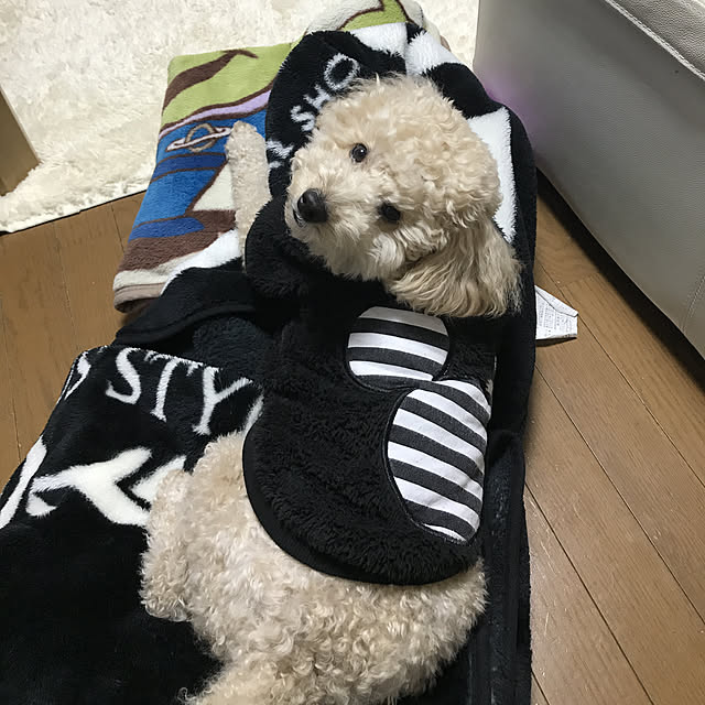 yuki89さんの実例写真