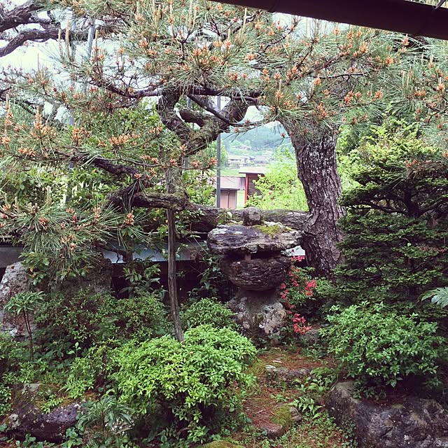 05i683さんの実例写真