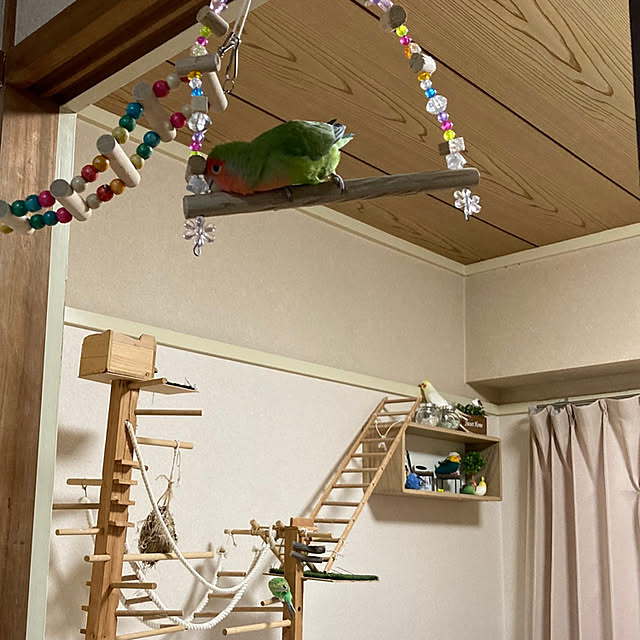 toratanさんの実例写真