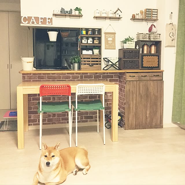 araibaさんの実例写真