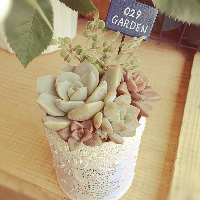 aym0418さんの実例写真