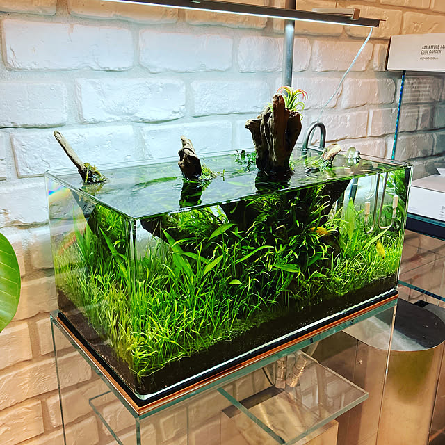 aquarist_tkさんの実例写真