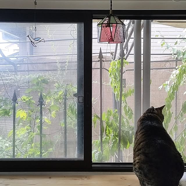 mori_6_12さんの実例写真