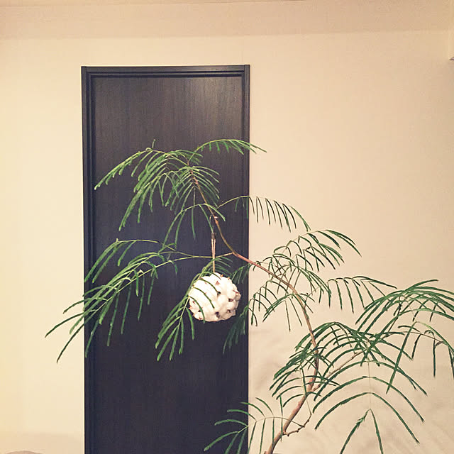 HKSさんの実例写真