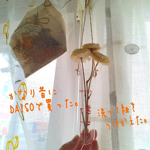 chinon7211さんの実例写真