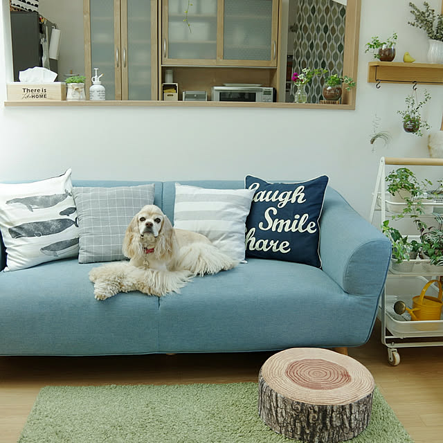 Shooowkoさんの実例写真