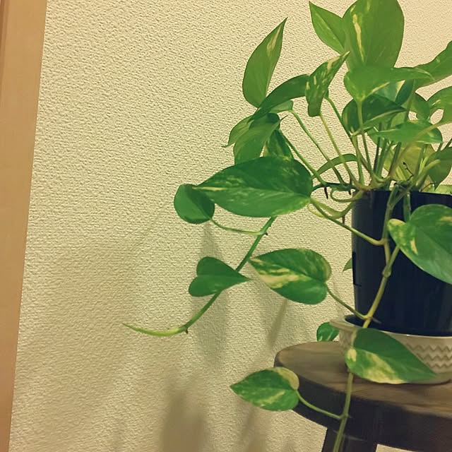 KOHAKUさんの部屋