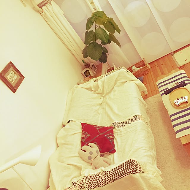 Hisayoさんの実例写真