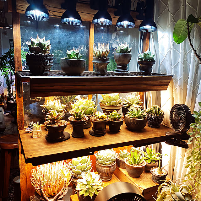 HaruDesign 植物育成ライト HASU38 spec9 4K 暖色系 スワール