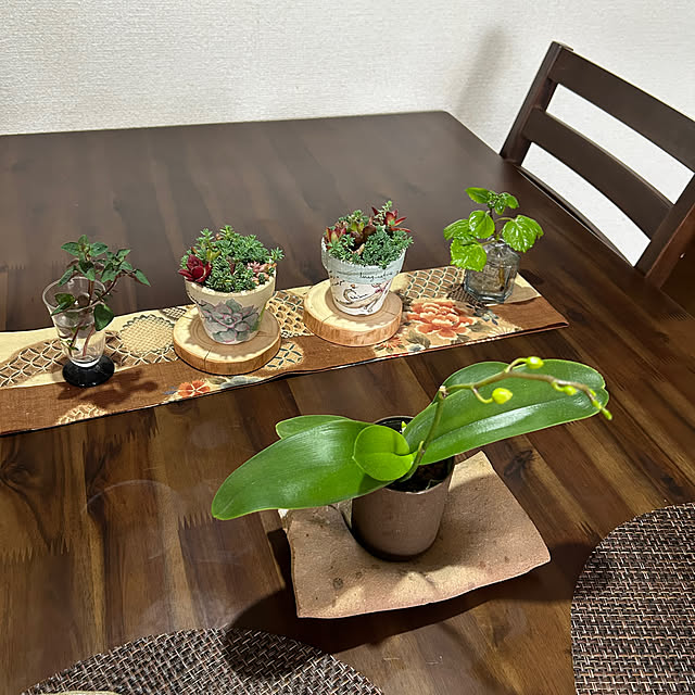 ritsukoさんの部屋