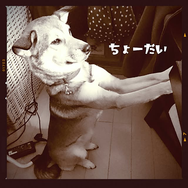 andさんの実例写真