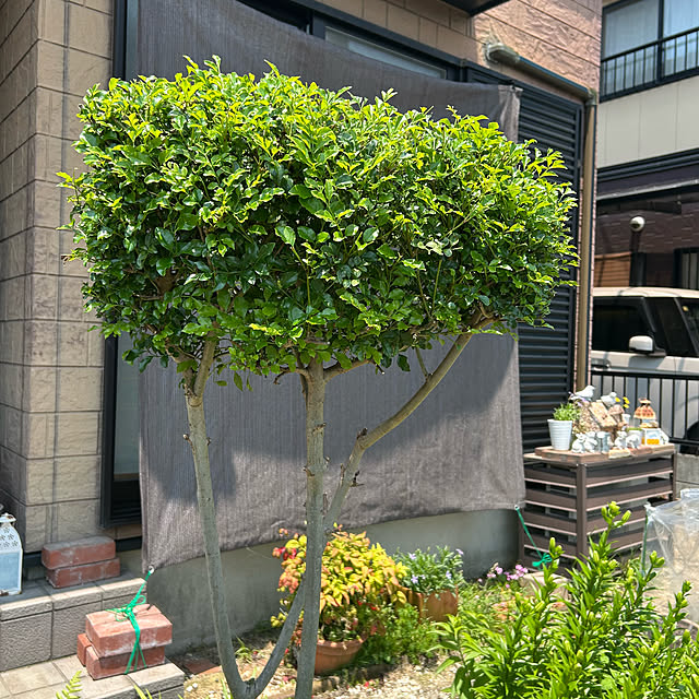 ritsukoさんの部屋