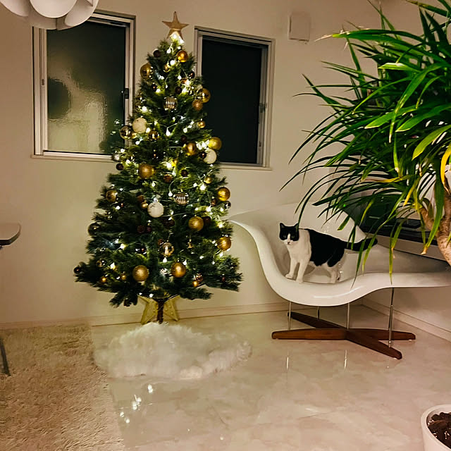 リビング/クリスマスのインテリア実例 - 2024-12-24 08:17:33