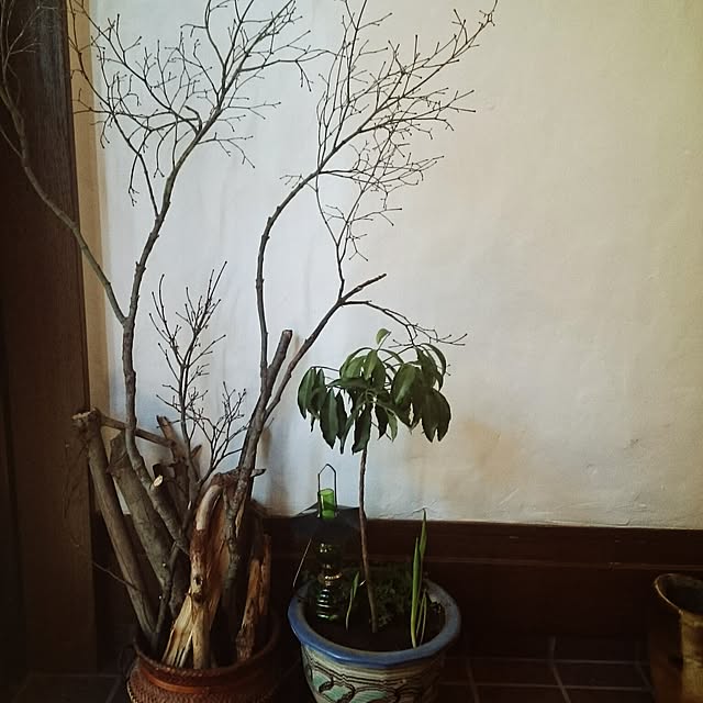naraさんの実例写真