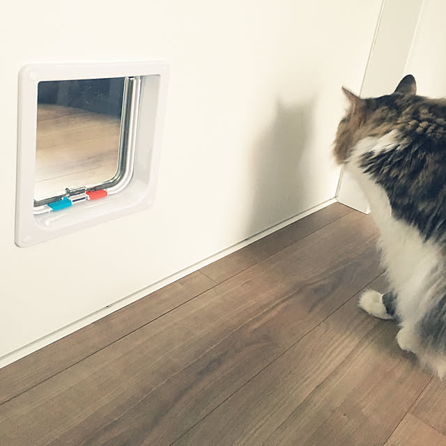 m0m0necさんの実例写真
