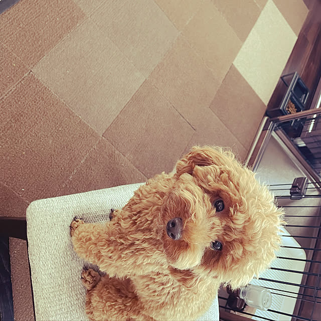 atsuyomoさんの実例写真