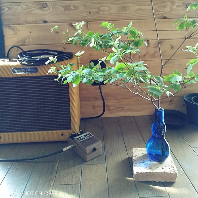 mamaさんの実例写真