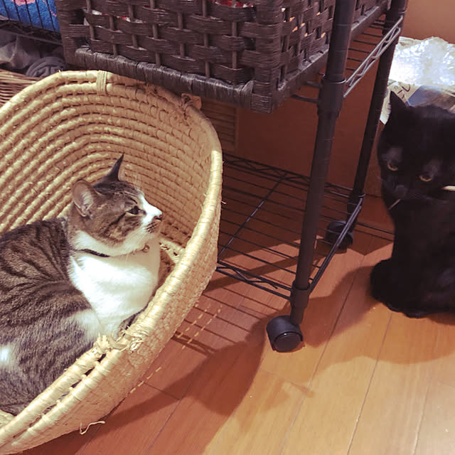 jijiさんの実例写真