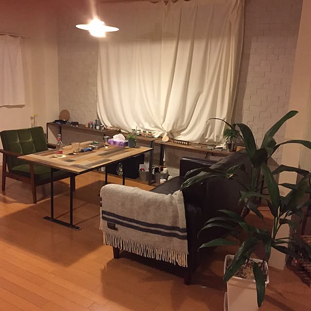 リビング/DIY/ハンドメイド/観葉植物/男前のインテリア実例 - 2016-01-07 12:34:57