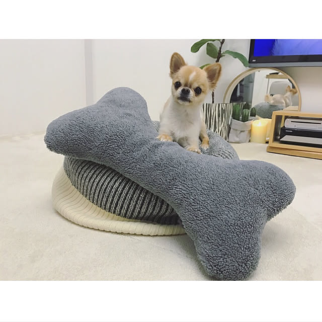haruhinaさんの実例写真