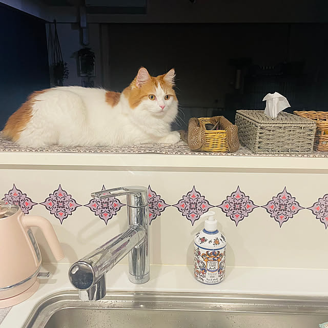miumiu.303さんの実例写真