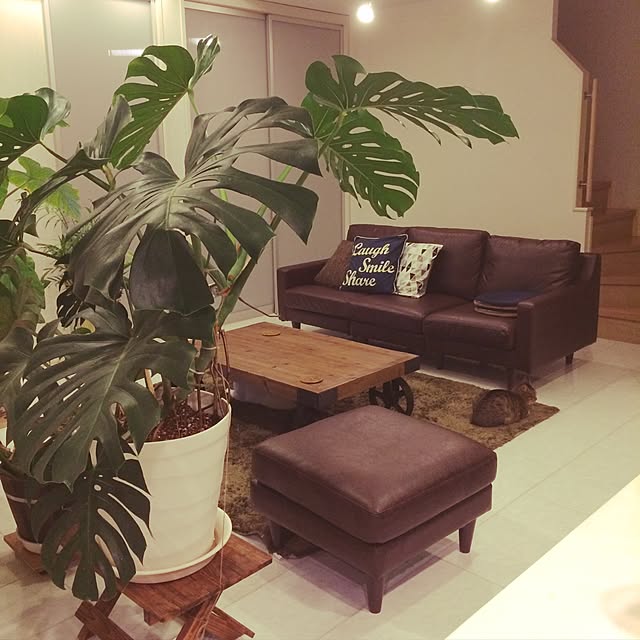 may1015snowさんの実例写真
