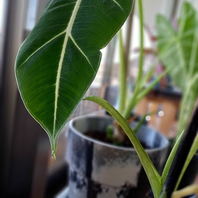 Rさんの部屋
