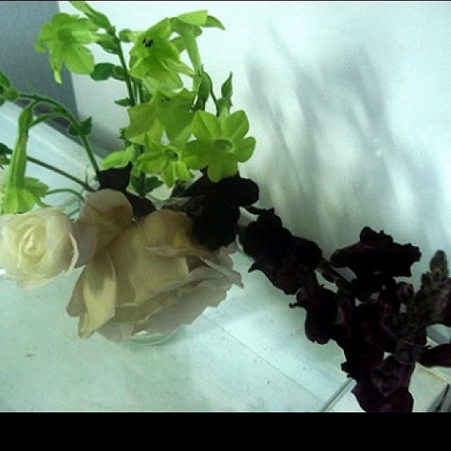 sannbonnnonamiさんの実例写真