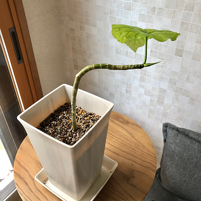 CoffeeHouseさんの部屋