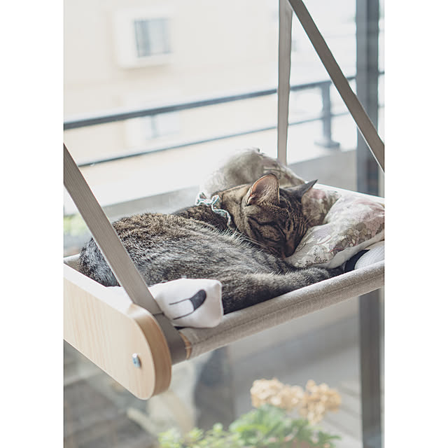 oliveさんの部屋