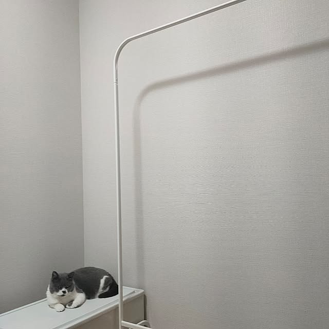 KEIKOさんの部屋