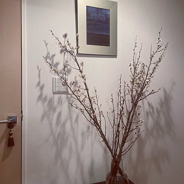 Murrさんの部屋