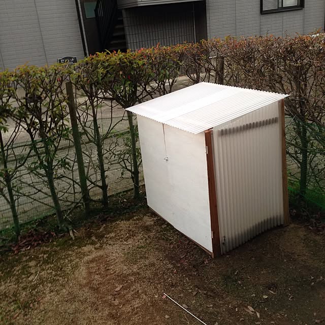 akariponさんの実例写真
